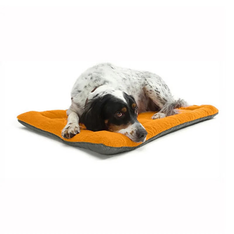 Pet Cushion Sofa Bed